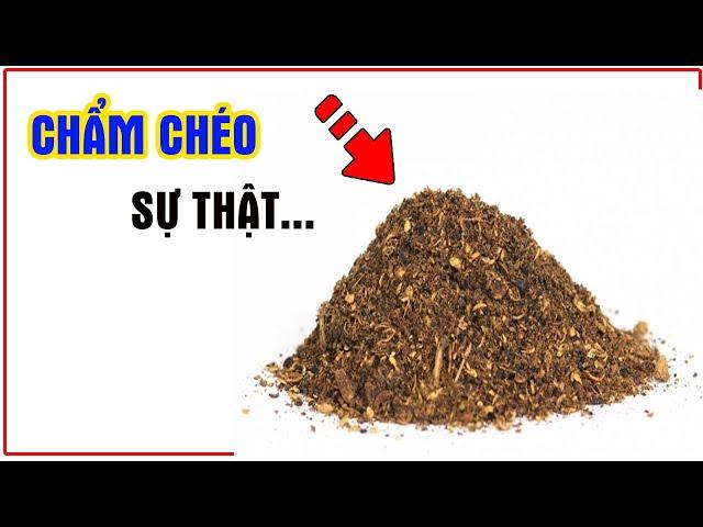 Chẩm chéo là gì?