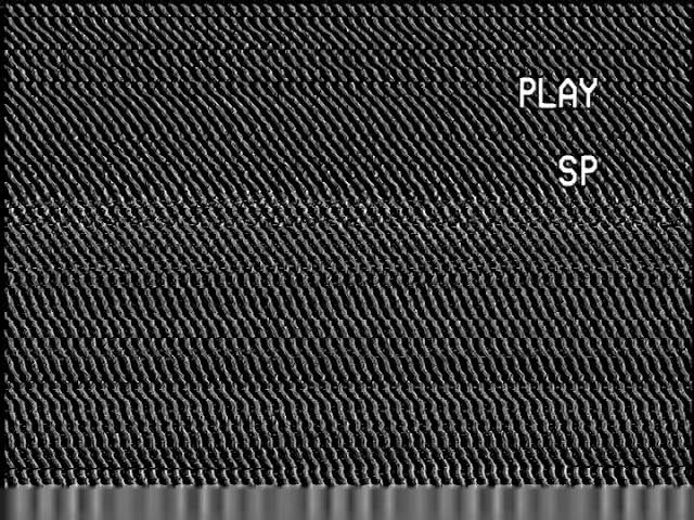 Static and Scan Line Artifacting on VHS Tape Playing SP mode