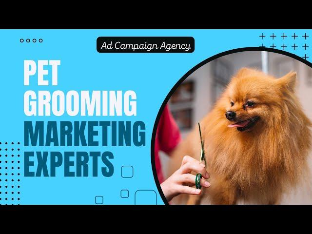 Pet Grooming Marketing Experts - Ad Campaign Agency