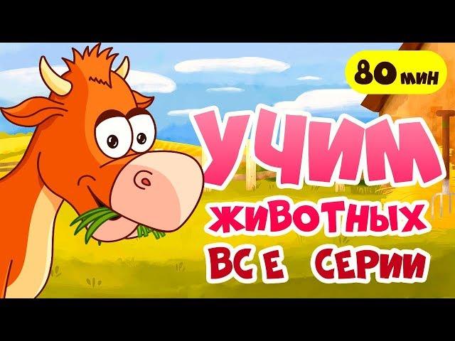 РАЗВИВАЮЩИЕ МУЛЬТИКИ про животных для детей! Звуки животных и другие серии для самых маленьких