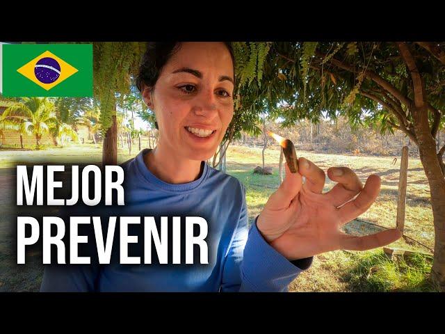 Ep. 166 | TOCANTINS - MARANHÃO • Chapada das Mesas • Trans- Amazonian route | Brazil by bike [SUBS]