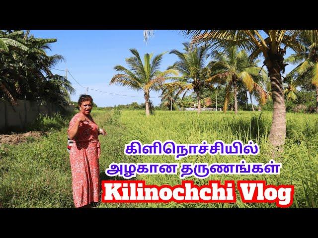 கிளிநொச்சியில் அழகான தருணங்கள் || BEST Places to visit in Kilinochchi