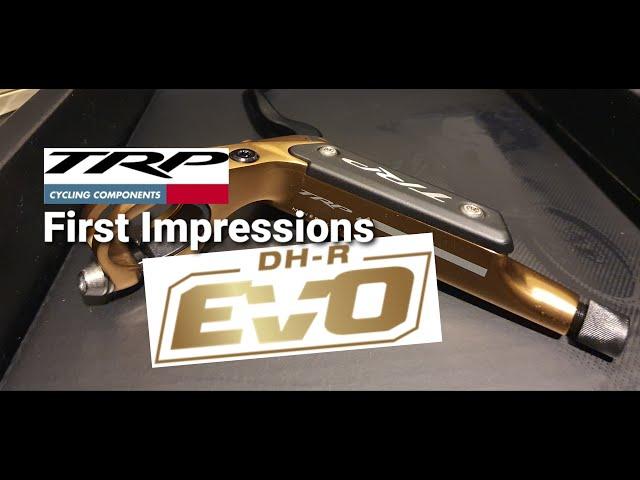 TRP DH-R Gold | First Impression | Trailer