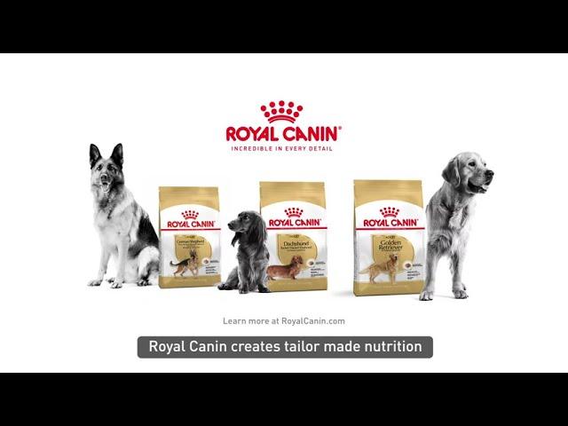 Royal Canin Breed Health Nutrition DVC 2H 2021 15s (Philippines)