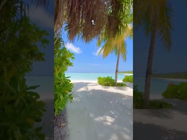 Which place would you choose #aesthetic #aurora #relaxing #travel #vibes #shorts