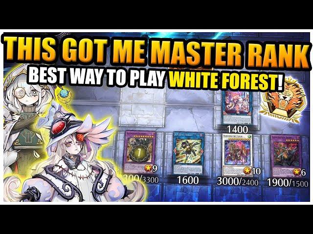 White Forest is *STILL* Broken! | Master Rank WF FS Azamina Deck profile | Yu-Gi-Oh! Master Duel