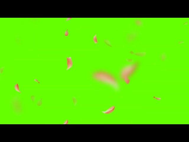 Falling flower effect | Green Screen Background | With Falling Flowers | 1 HOURS