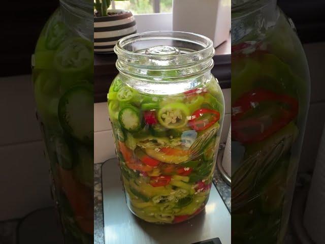 Lacto-fermented hot peppers!