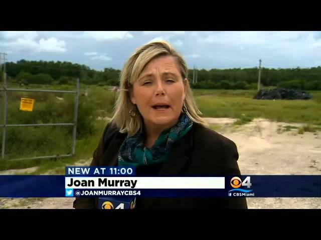 CBS4 Miami Coverage of Florida Class with Cannabis Career Institute