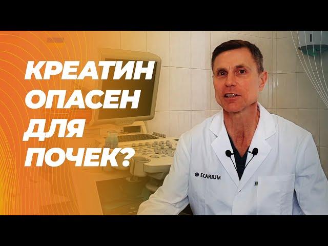 Креатин и почки