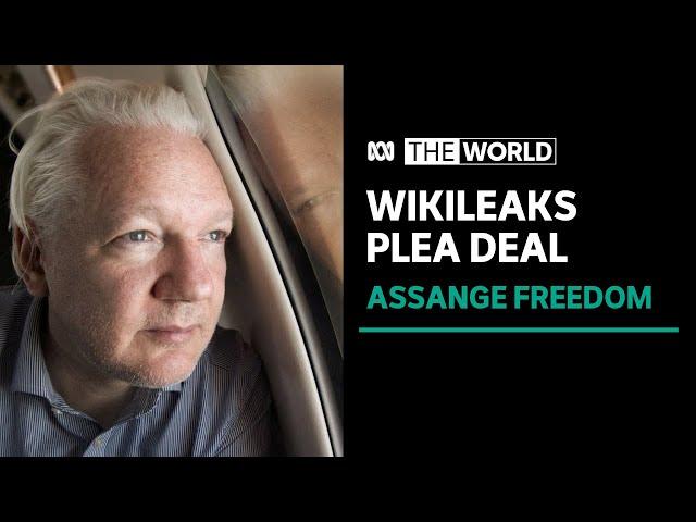 Julian Assange freed from UK prison under plea deal with US Justice Department | The World