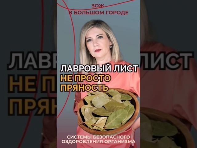 Лавровый лист: простой рецепт для здоровья! Целебные свойства и применение  #здоровье