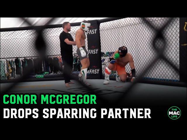 Conor McGregor sparring ahead of UFC 303