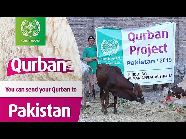  Send your Qurban with Human Appeal Australia to Pakistan 