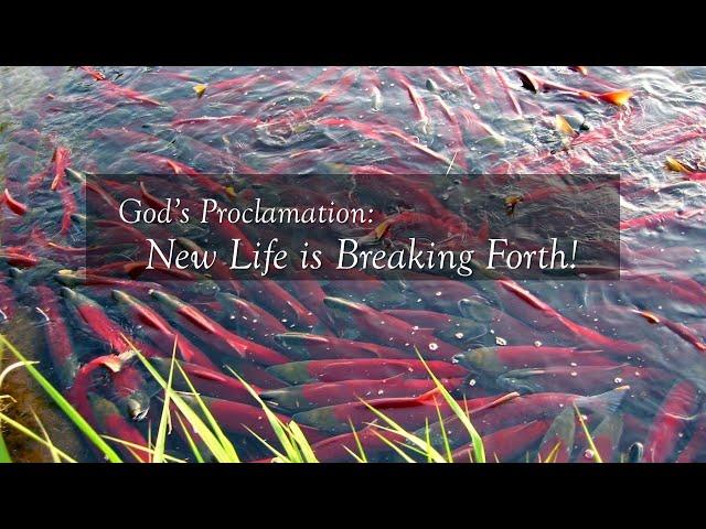 A Sermon for Earth Day: "New Life at the Table," April 23, 2023