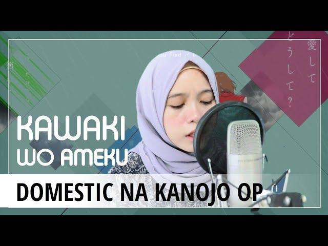 【Rainych】Kawaki wo Ameku - Domestic na Kanojo OP (cover)