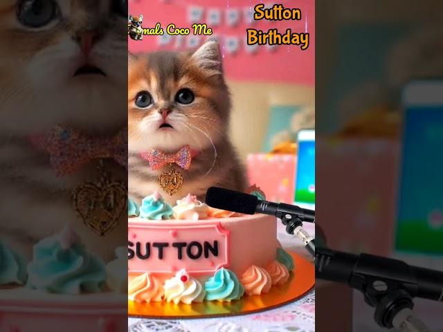 HAPPY BIRTHDAY TO YOU SUTTON | HAPPY BIRTHDAY SONG WITH NAMES | Adorable Cute Cat  #cats