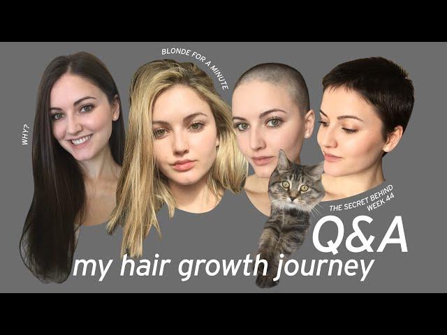 My Hair Growth Journey ‍‍️ - Buzzcut Q&A | Hair Care