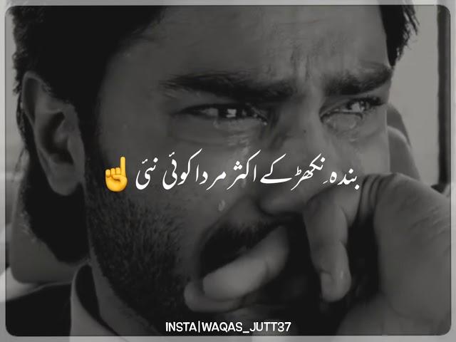 Heart touching lines || saraiki poetry status || 