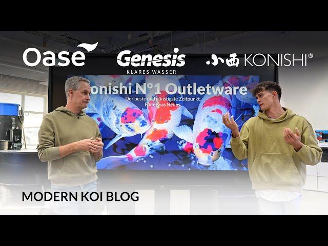 Modern Koi Blog #5811 - Konishi No. 1 Swim im Outlet zum Sonderpreis