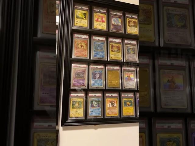 Graded card display  #pokemon #pokemoncards #pokemoncollector #pokémon #pikachu #charizard #psacard