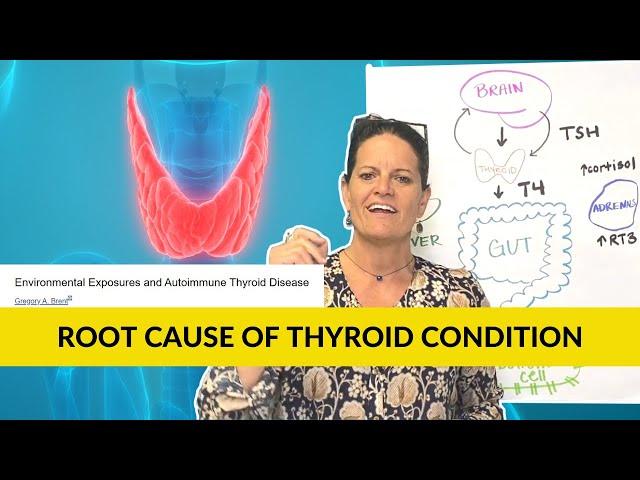 How to Identify the Root Cause Of Your Thyroid Condition