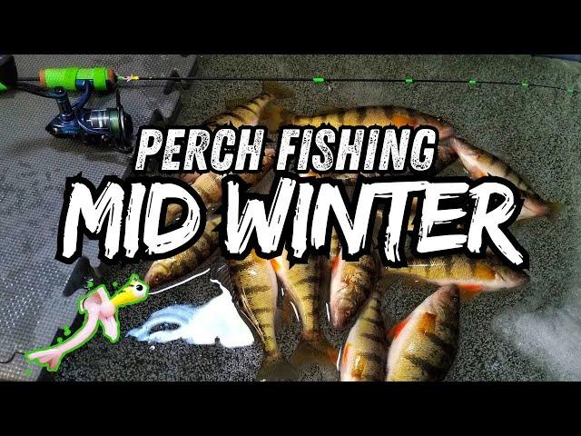 Ice Fishing Perch - Mid Winter Means Go Small