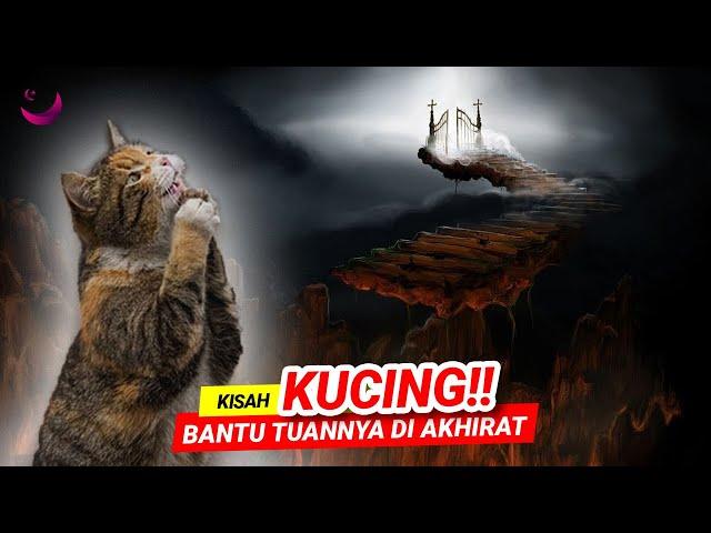 ADAKAH BENAR KISAH KUCING BOLEH BANTU TUANNYA DI AKHIRAT