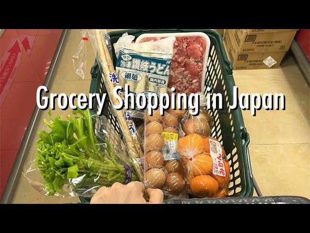 Last Shopping Compilation of 2023 supermarket, goodies shop & 100yen store  in Japan