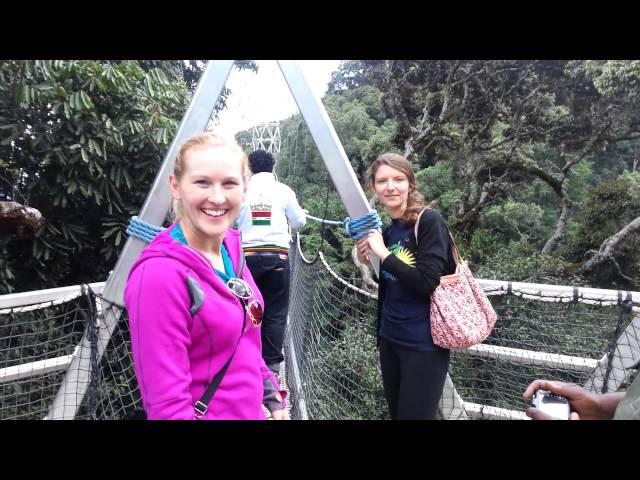 Nyungwe Canopy walk in Rwanda