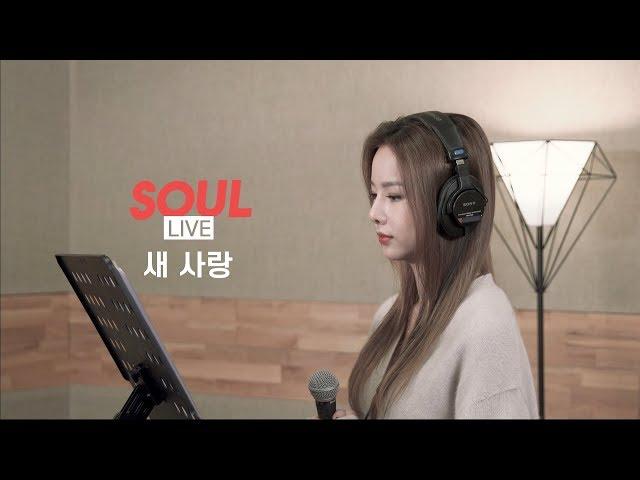 [소울라이브] Cover by Soul_G(솔지) | 송하예(Ha Yea Song) - 새 사랑(Another Love)