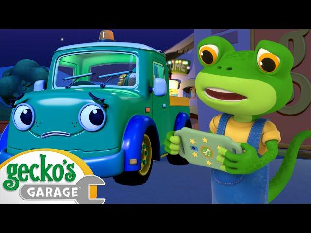 Can Miles Get Back Home? | Gecko's Animal Pals | Animal & Vehicle Cartoons | Cartoons for Kids