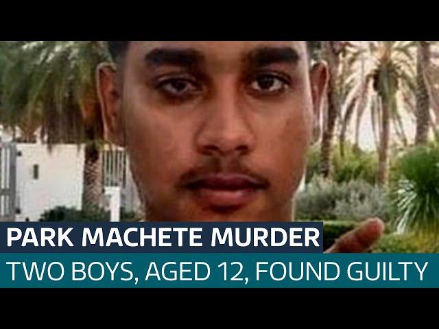 Shawn Seesahai: Two 12-year-old boys found guilty of murdering teenager in park with machete