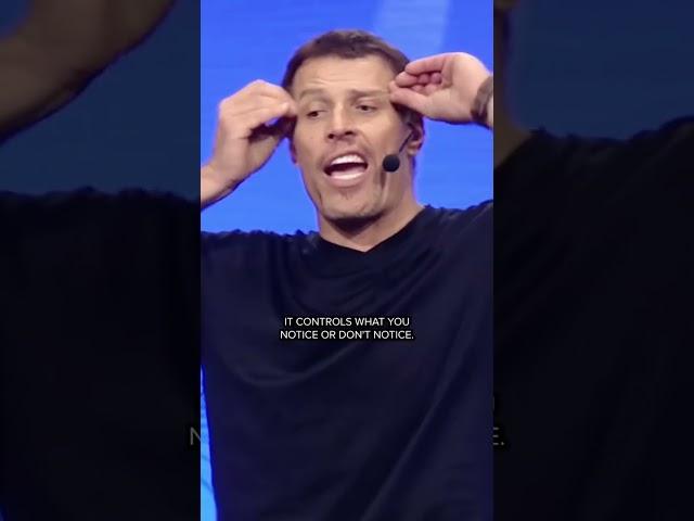 What Are Your Values? | Tony Robbins