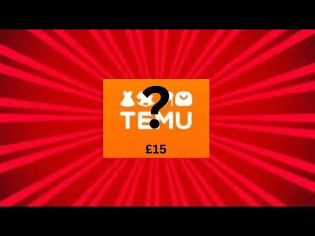 What can you get with £15 on temu ft:theinfectedduckii