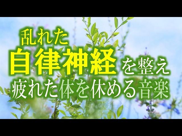 【疲労回復】乱れた自律神経を整え、疲れた心と身体を休める音楽【テンダートーン】