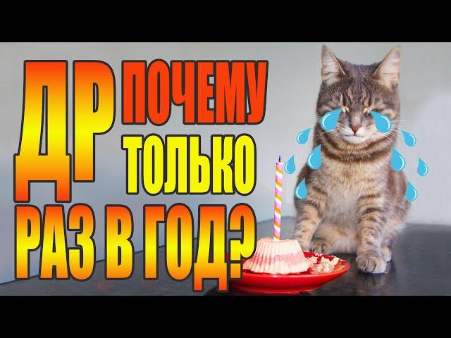 Happy Birthday Няша! К сожаленью День Рождения только раз в году.