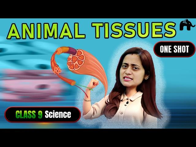 Tissues Class 9 Chapter 6 NCERT #2 | CBSE Science | Biology | Animal Tissues | One Shot