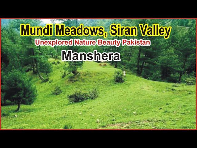 Mundi Meadows, Siran Valley|Manshera Pakistan|Unexplored Nature Beauty Pakistan