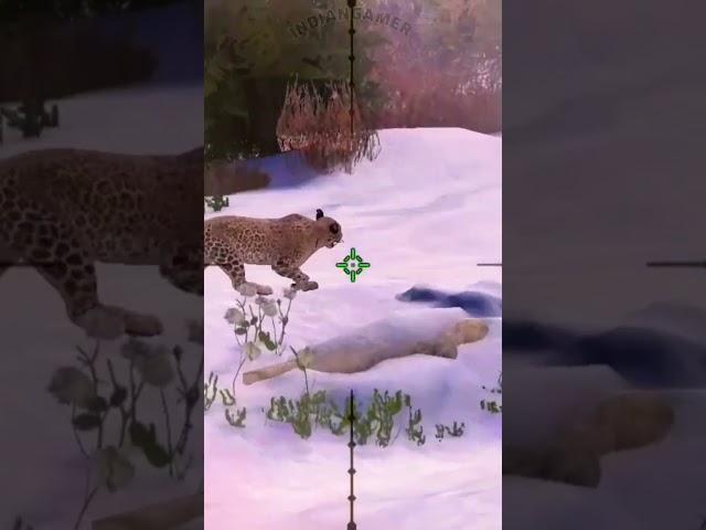 #kamchatka #animal's #gaming video #man v/s amur leopard  