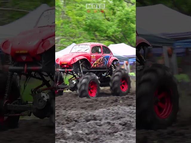 VW Bug Mega Mud Truck!