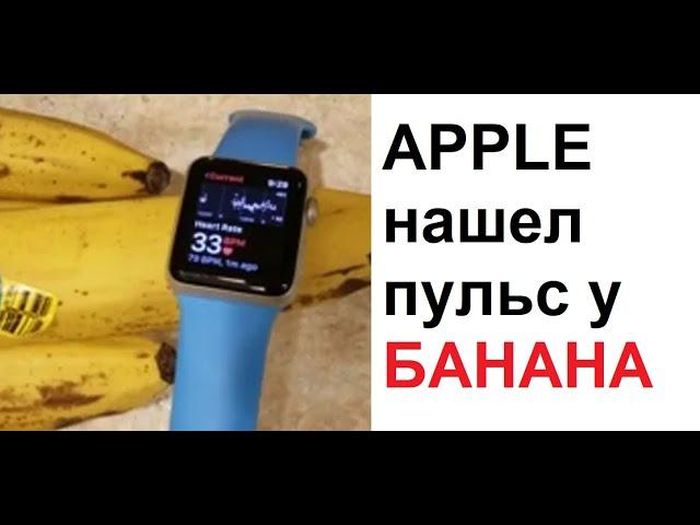 Макс Максимов. Apple НАШЕЛ пульс у БАНАНА. Банан жив! С ним все в порядке