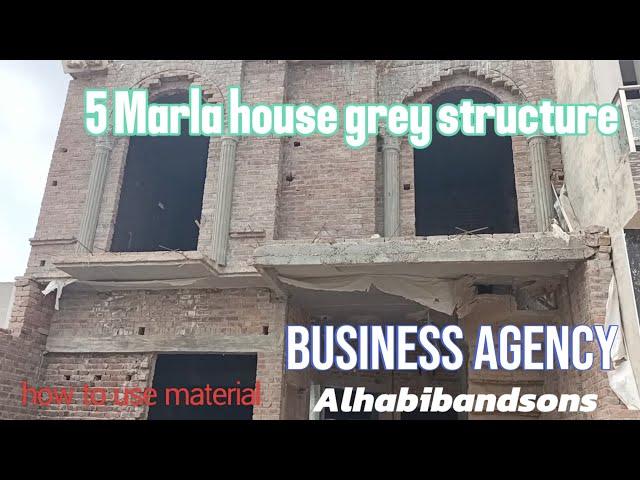 5 Marla grey structure house