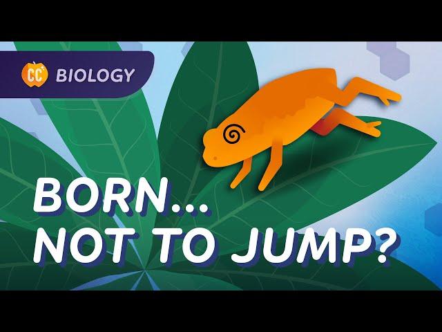 Animal Behavior: Why This Toad Is Bad at Jumping: Crash Course Biology #49