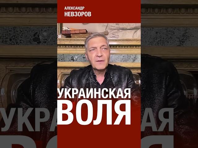 @NevzorovTV — парадокс Курского наступления