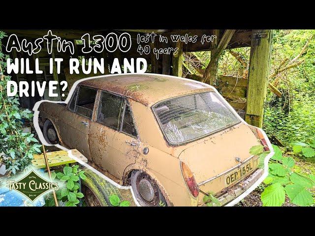 Abandoned For 40 Years In A Welsh Barn, Can I get It To Run And Drive?! 1973 Austin 1300 mkIII