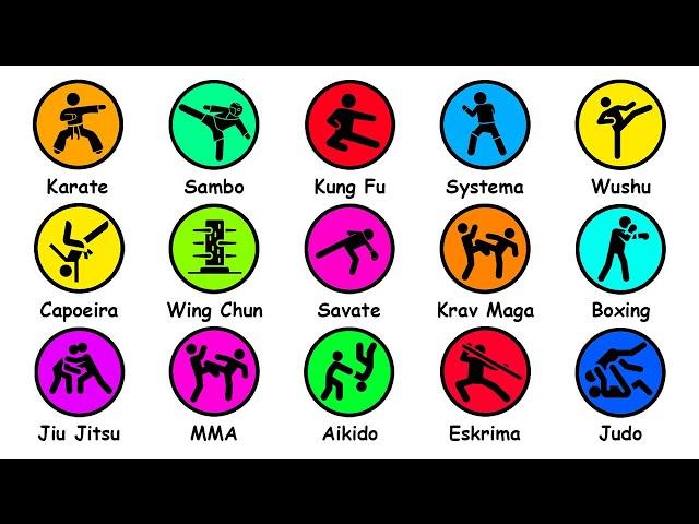 Every Martial Art Type Explained in 12 Minutes