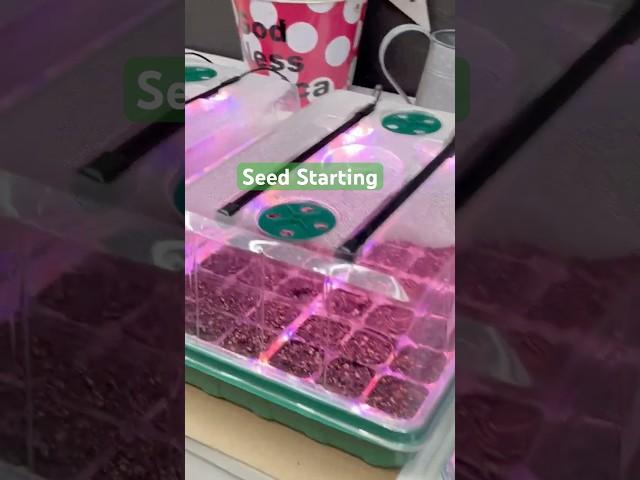 SEED STARTING #farmlife #gardening  #gardening  #seedstarting #seeds  #homesteading #gardener