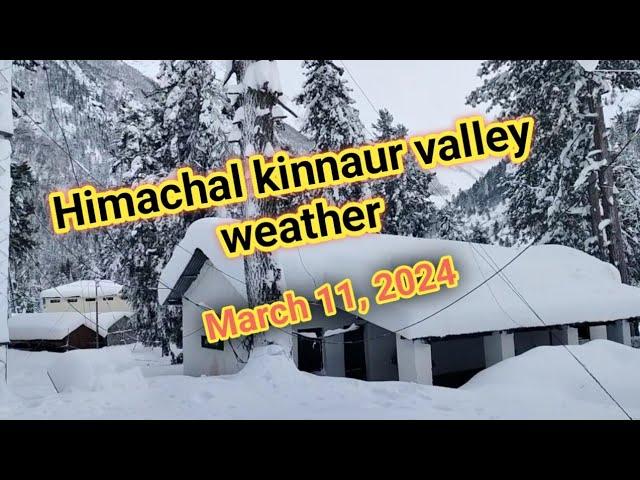 March 11, 2024, kinnaur valley weather || Himachal Pradesh @Ankit tourism and travel