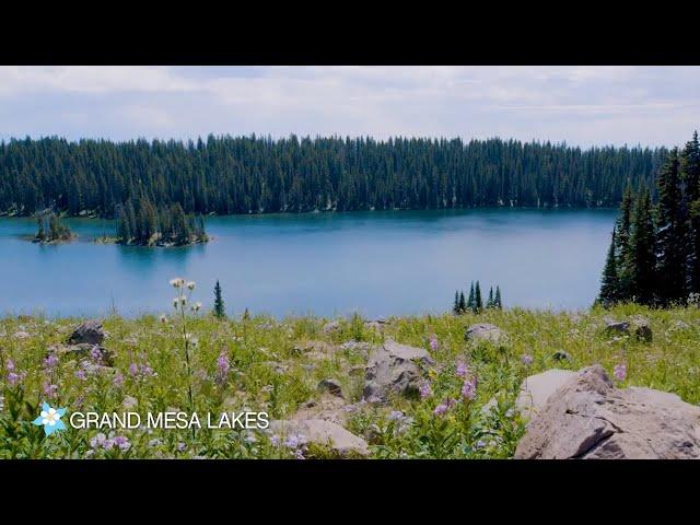 Colorado’s Grand Mesa Scenic Byway